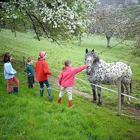 Legrandpressoir Honfleur