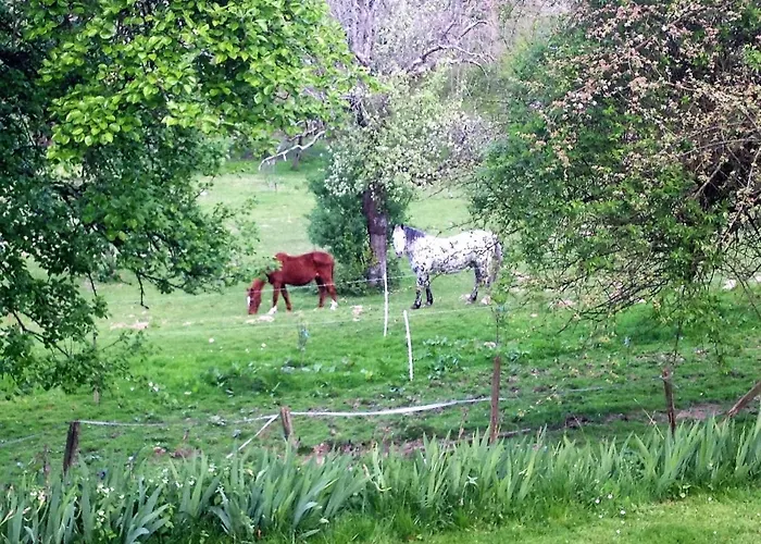 Сasa de vacaciones Legrandpressoir Honfleur